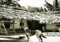 ÔNG NGOẠI TÔI
